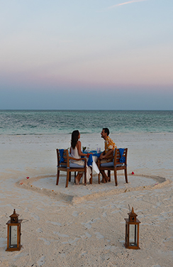 Africa honeymoon safari