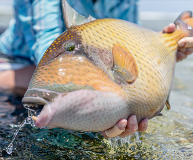 Tanzania Fishing Safari
