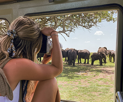 Tanzania wildlife Photographic tours