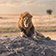 Budget Tanzania Safari