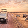 Best Tanzania Safari